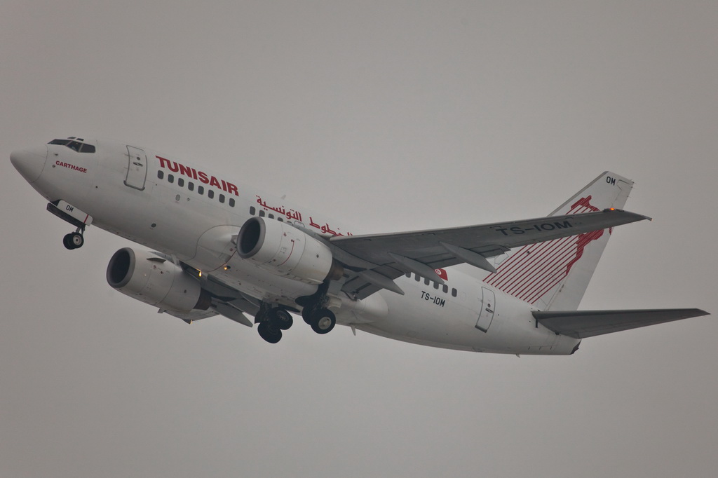 TS-IOM Tunisair Boeing 737-6H3.jpg