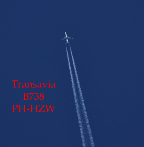 transavia.jpg