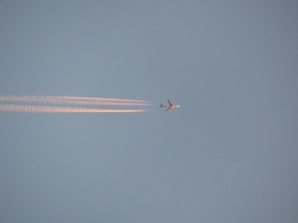 P1020735.JPG
