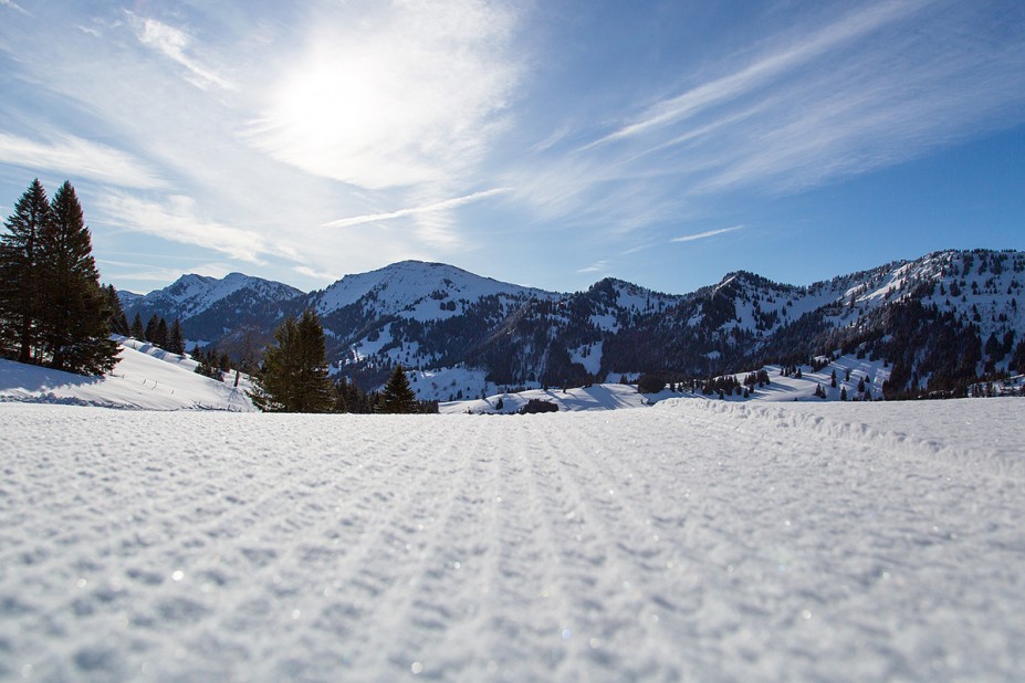 1.jpg (743.18 KiB) 9432 mal betrachtet 1.jpg