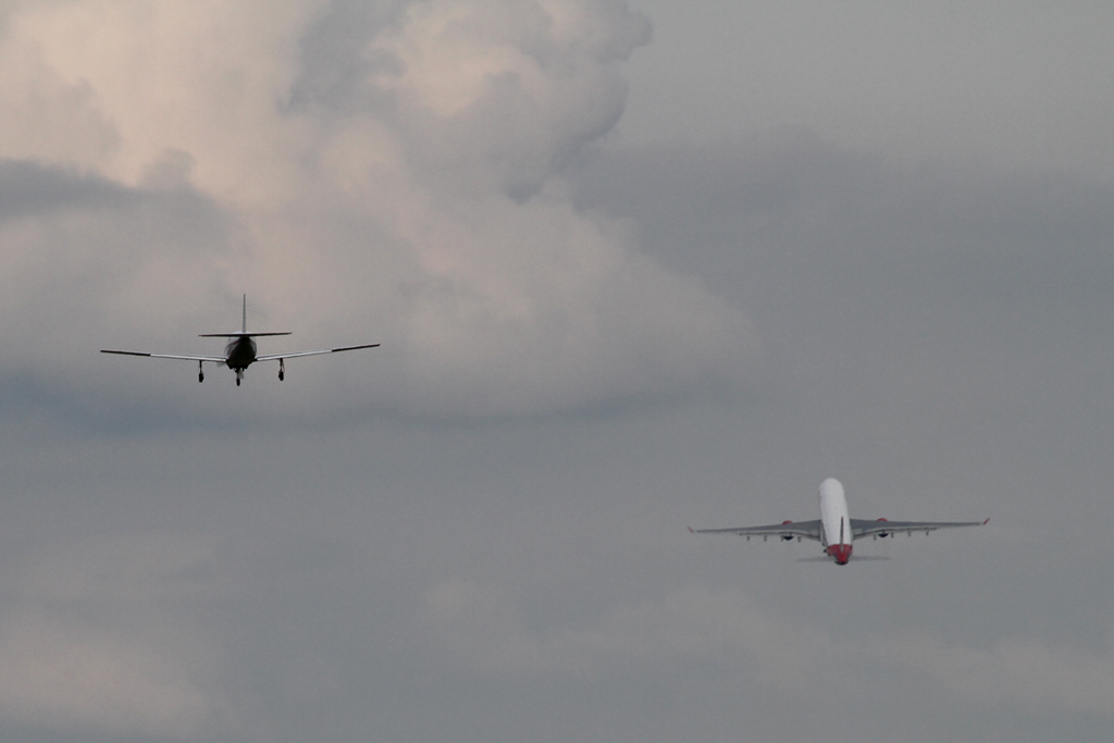 IMG_4075 weich forum.jpg