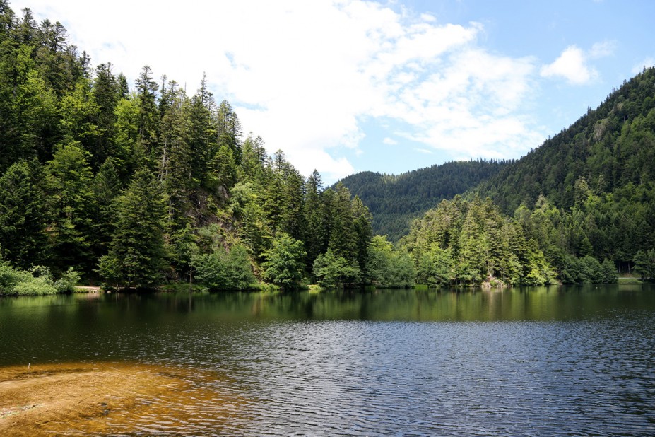 IMG_9575.JPG (542.13 KiB) 7808 mal betrachtet IMG_9575.JPG