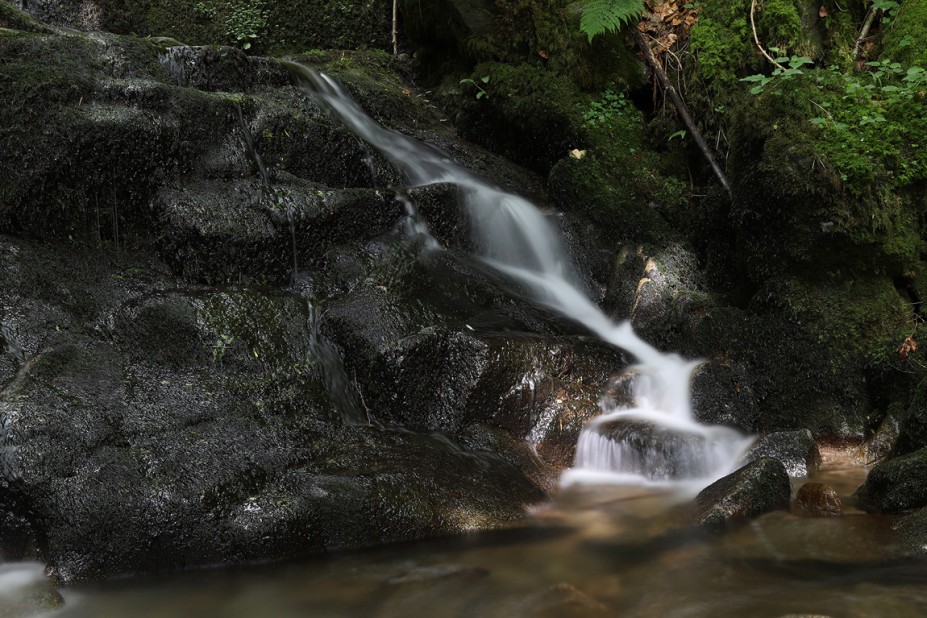 IMG_9388.JPG (504.76 KiB) 7677 mal betrachtet IMG_9388.JPG