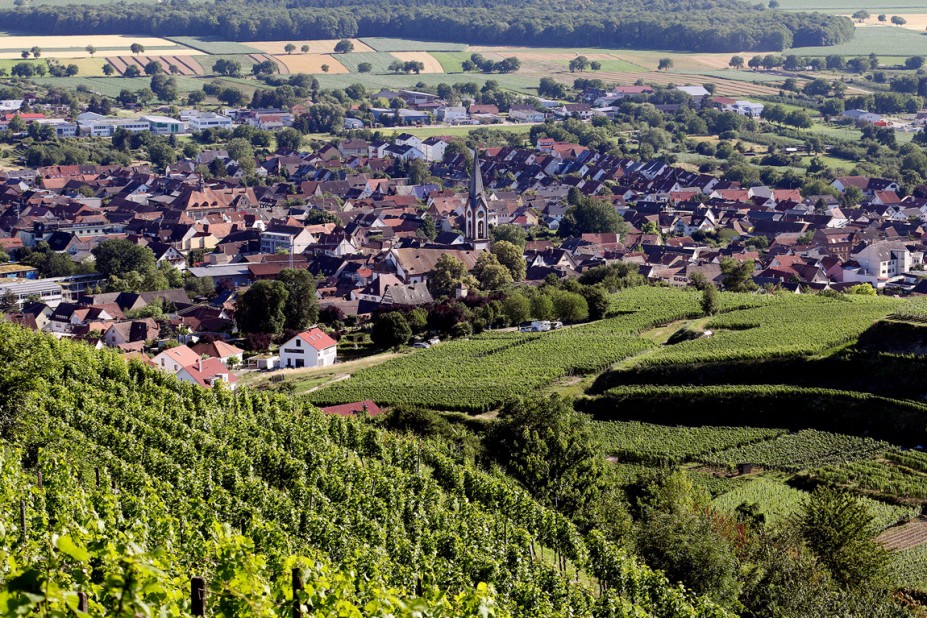 IMG_5663.JPG (703.74 KiB) 28677 mal betrachtet IMG_5663.JPG