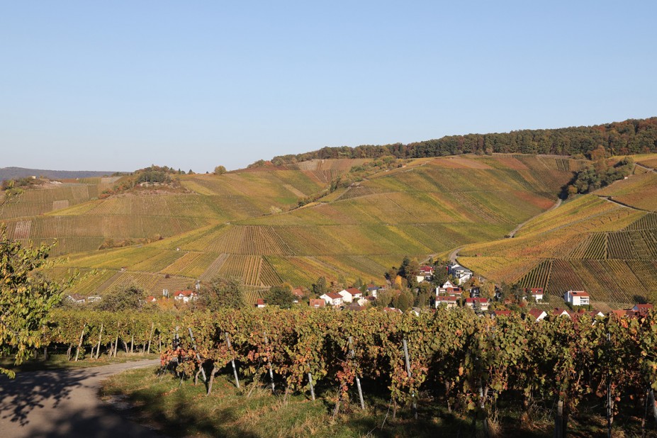 IMG_0173.JPG (489.17 KiB) 35583 mal betrachtet IMG_0173.JPG