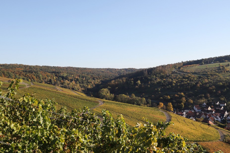 IMG_0249.JPG (450.25 KiB) 35583 mal betrachtet IMG_0249.JPG