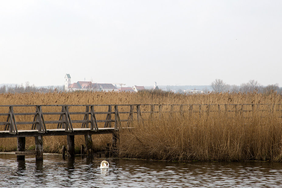 federsee1.jpg