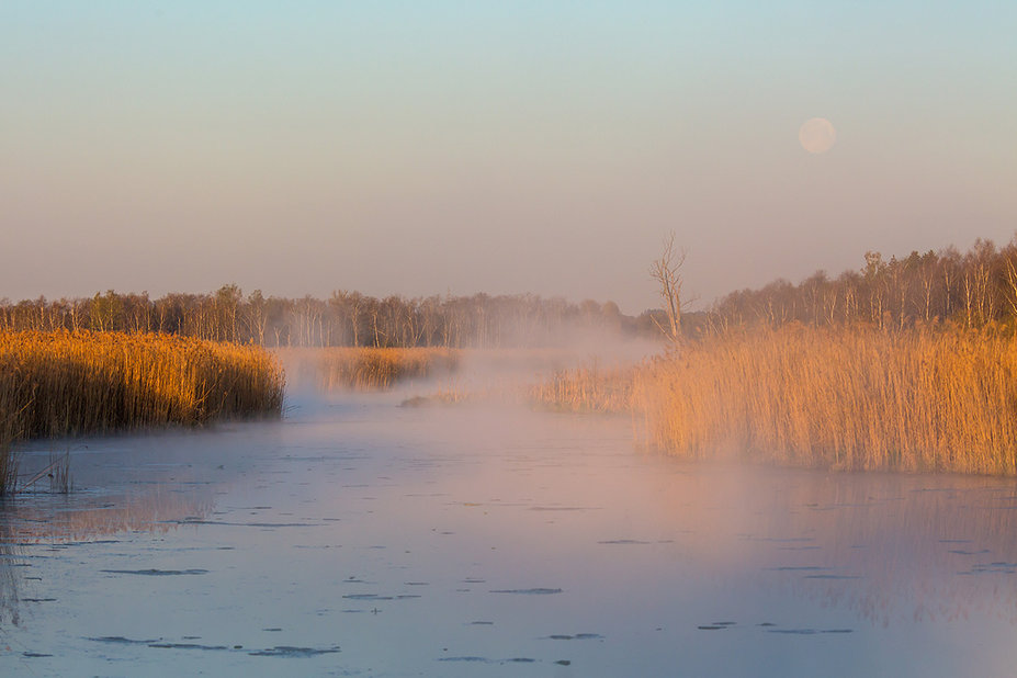 federsee1.jpg