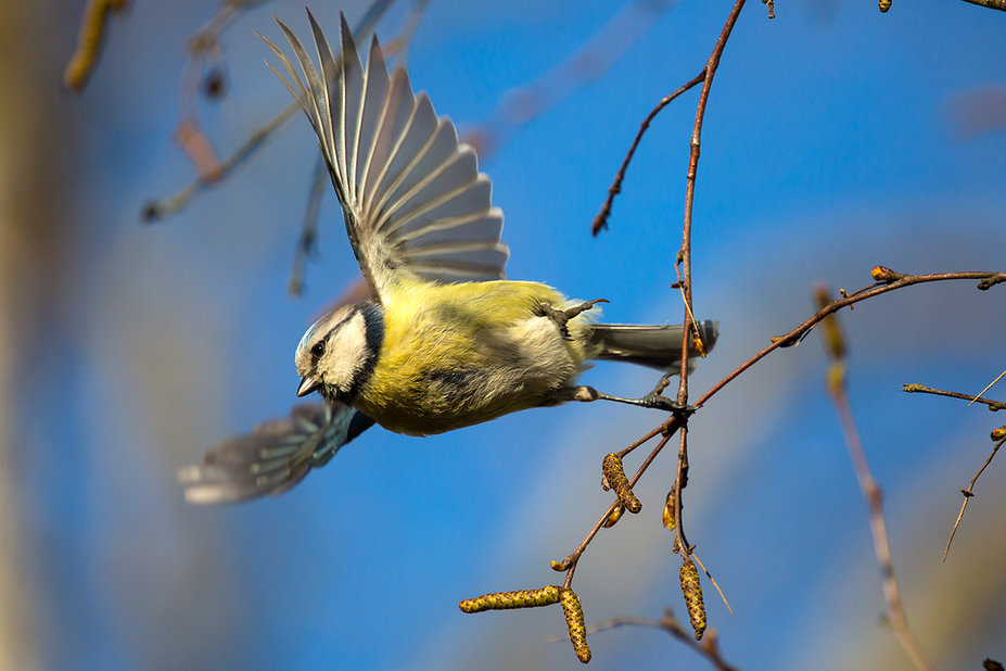federsee7.jpg (608.4 KiB) 33862 mal betrachtet federsee7.jpg