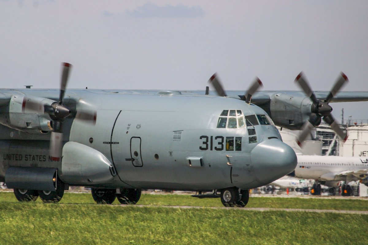 Hercules Closeup