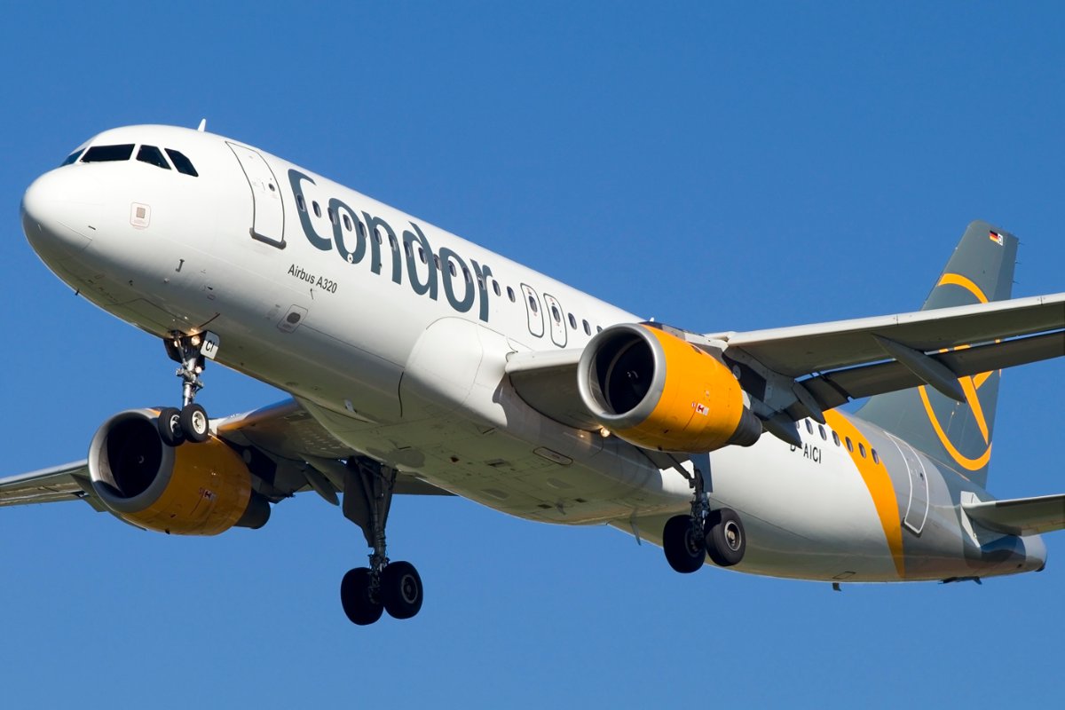 D-AICI.jpg