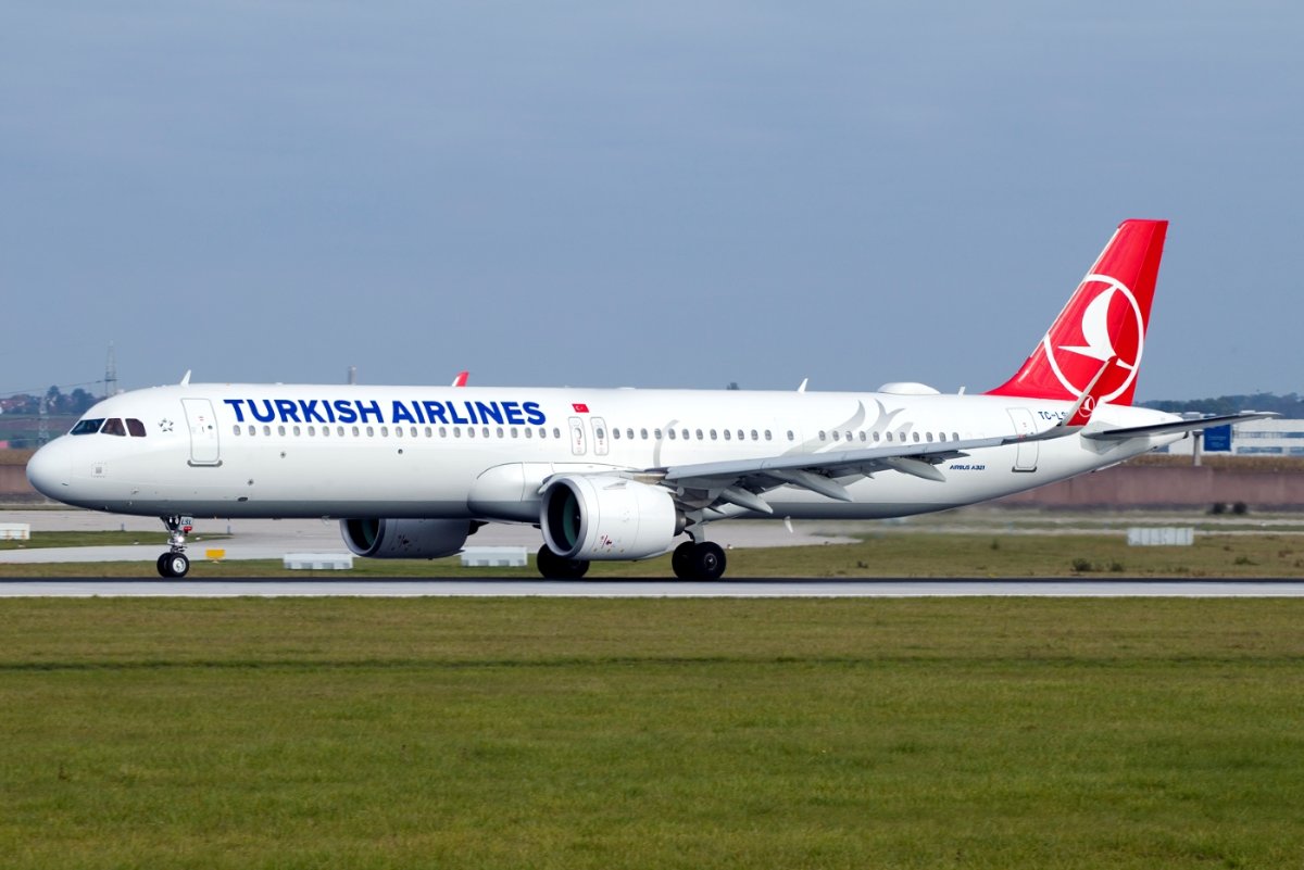 TC-LSL2.jpg