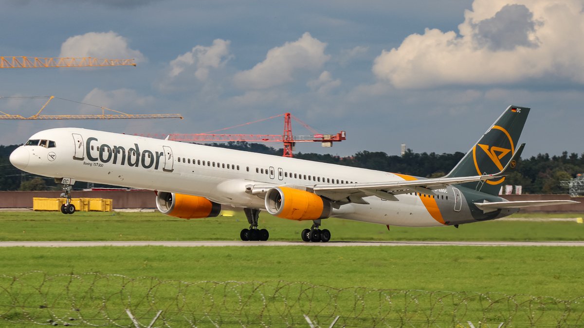 D-ABOC-2.jpg