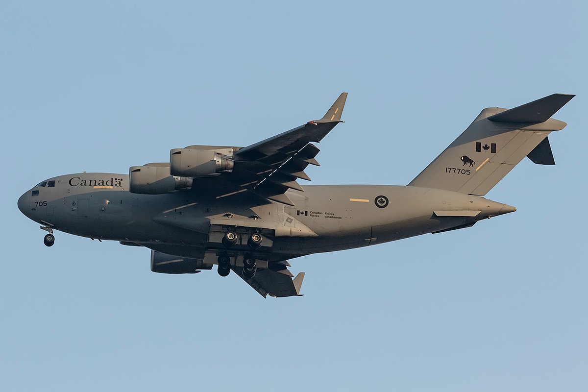 BV6A2010_m.jpg