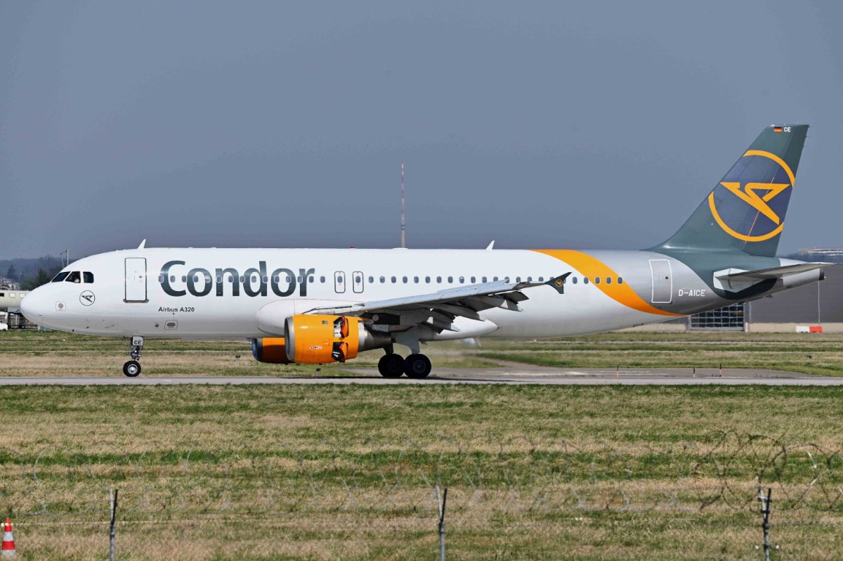 D-AICE Condor Airbus A320-212.JPG