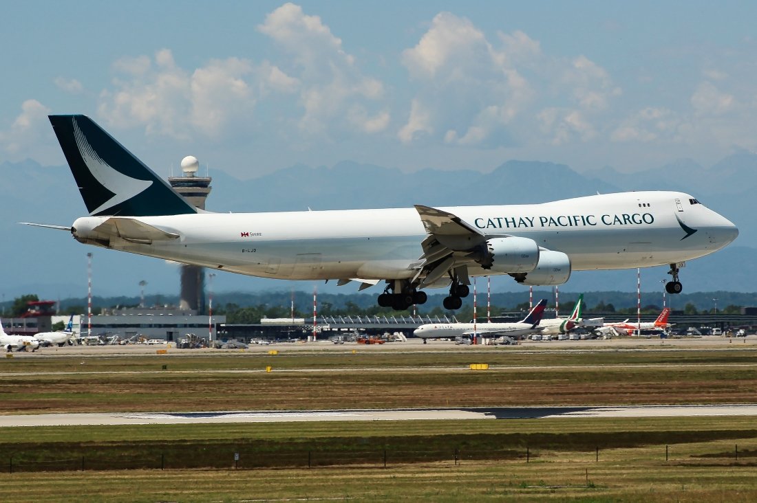 IMG_5909jumbo.JPG