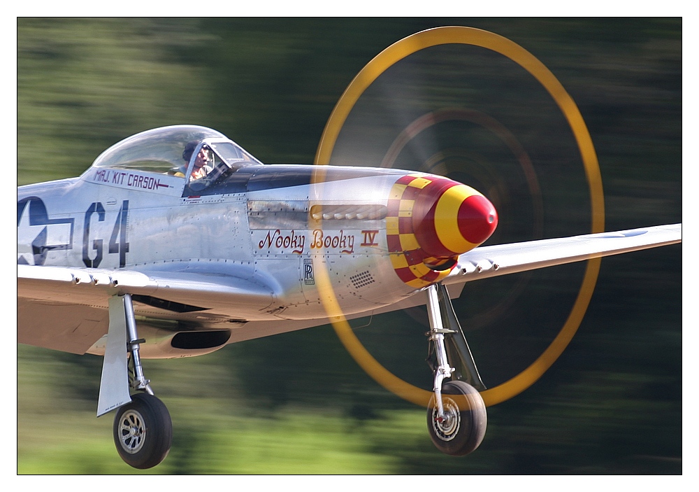 Noch ein bissll Mustang