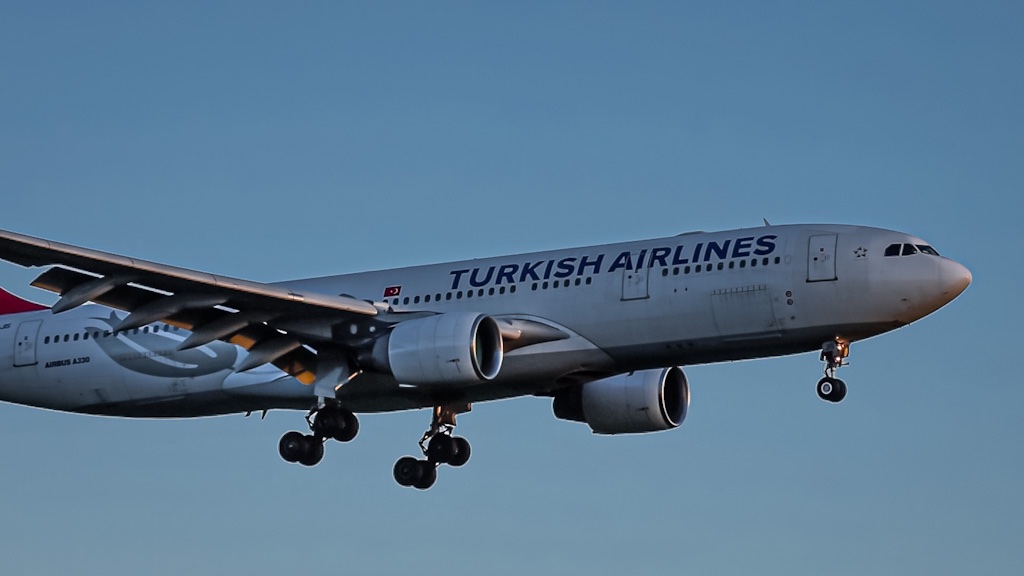 Turkish Airlines A330.jpg