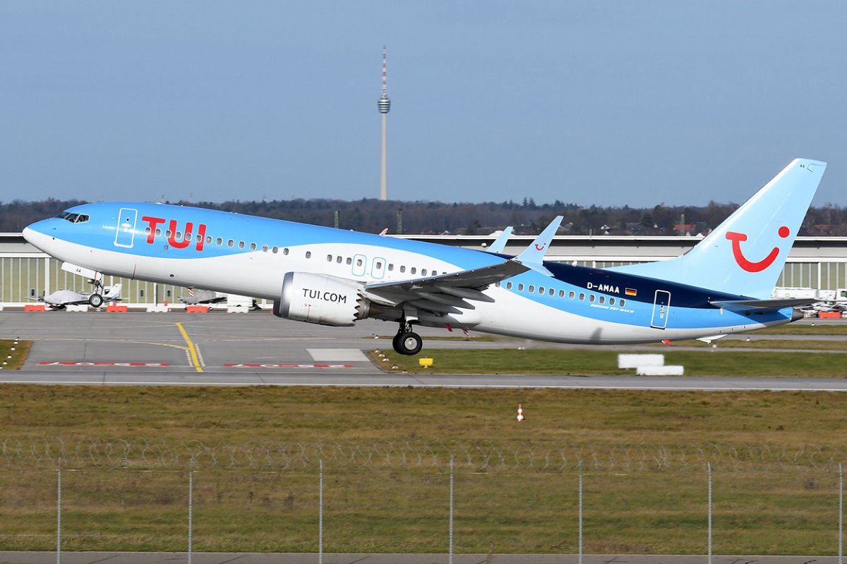 D-AMAA .jpg