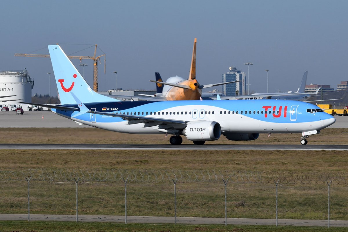 D-AMAZ.jpg