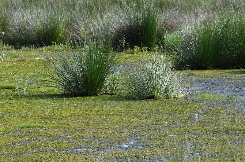 9992.jpg (393.26 KiB) 44179 mal betrachtet 9992.jpg