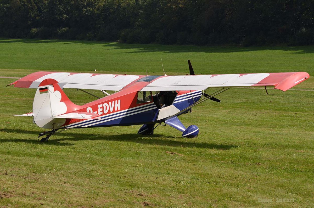 D-EDVH .jpg