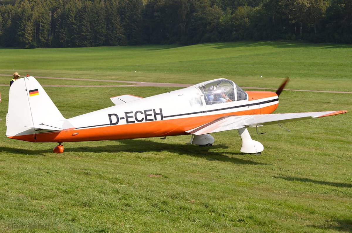 D-ECEH .jpg