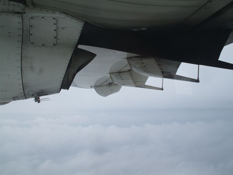 DSCF3217.JPG
