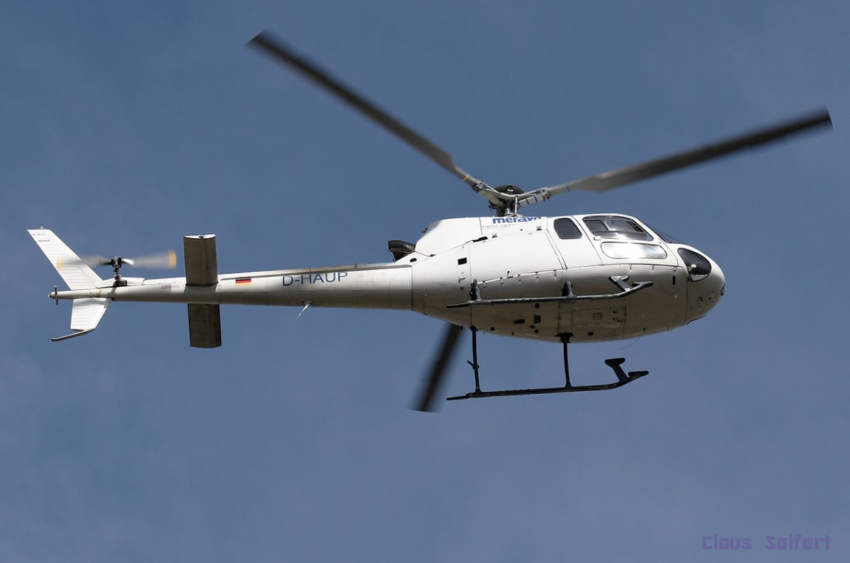 D-HAUP.1.jpg