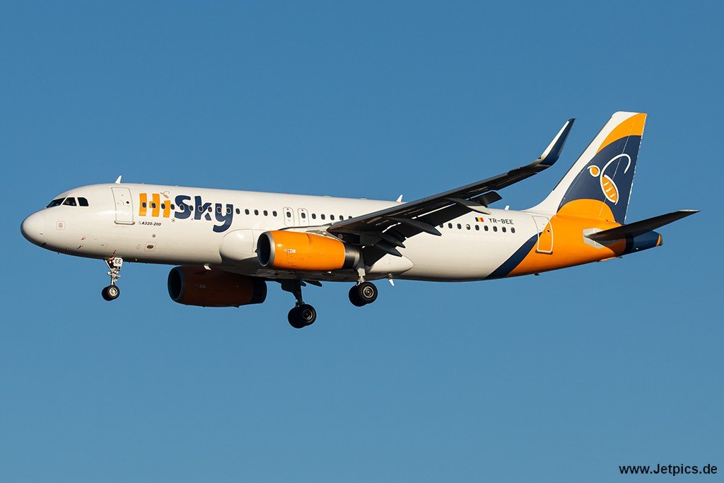 YR-BEE270124.jpg