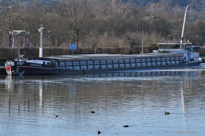 LUCIUS (02315216).jpg (461.88 KiB) 47677 mal betrachtet LUCIUS (02315216).jpg