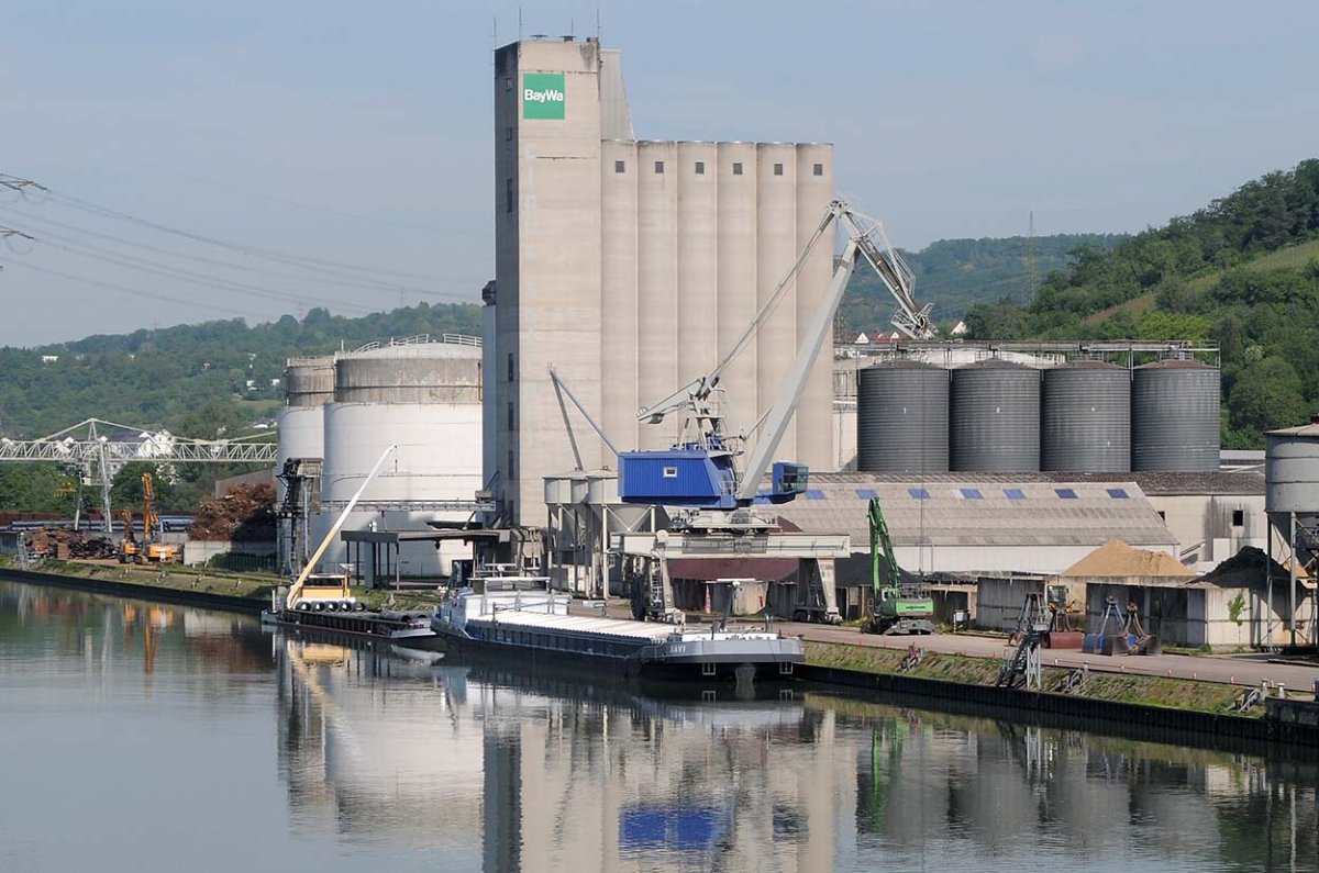 Forever (211662750) XAVI (244660961).jpg