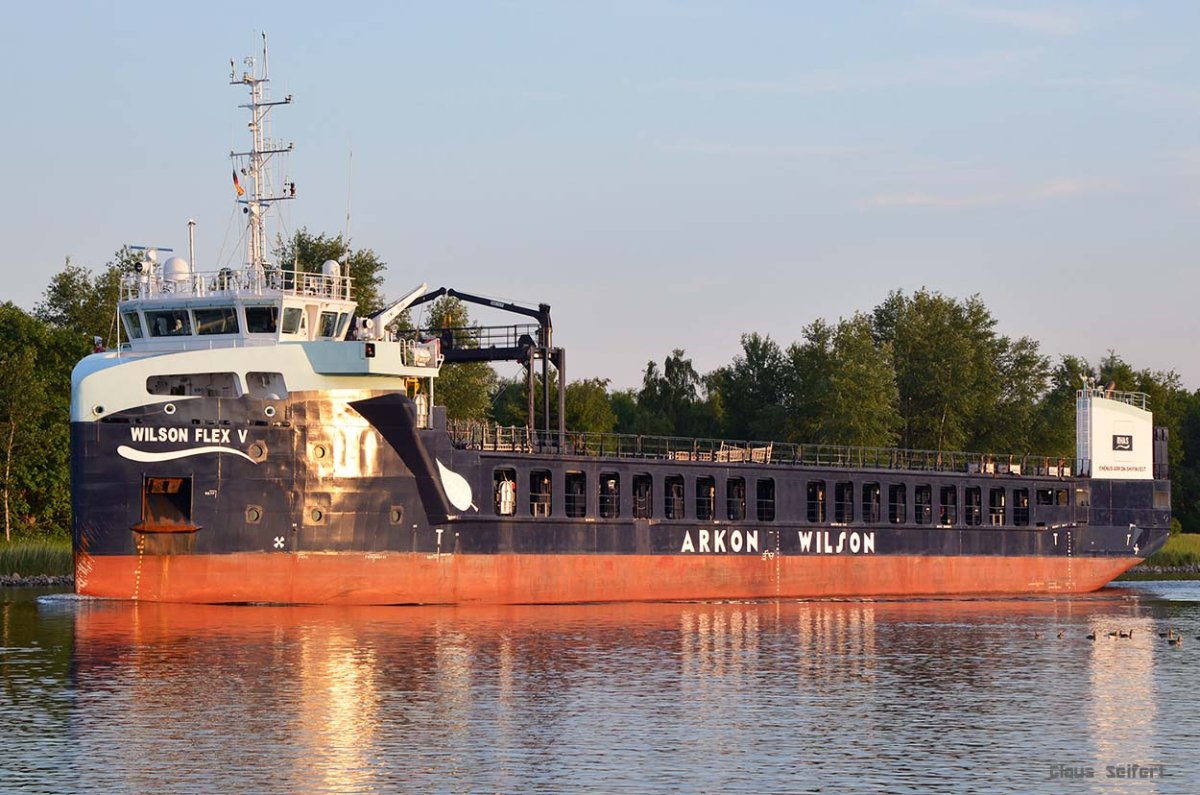 WILSON FLEX V (9911472).jpg