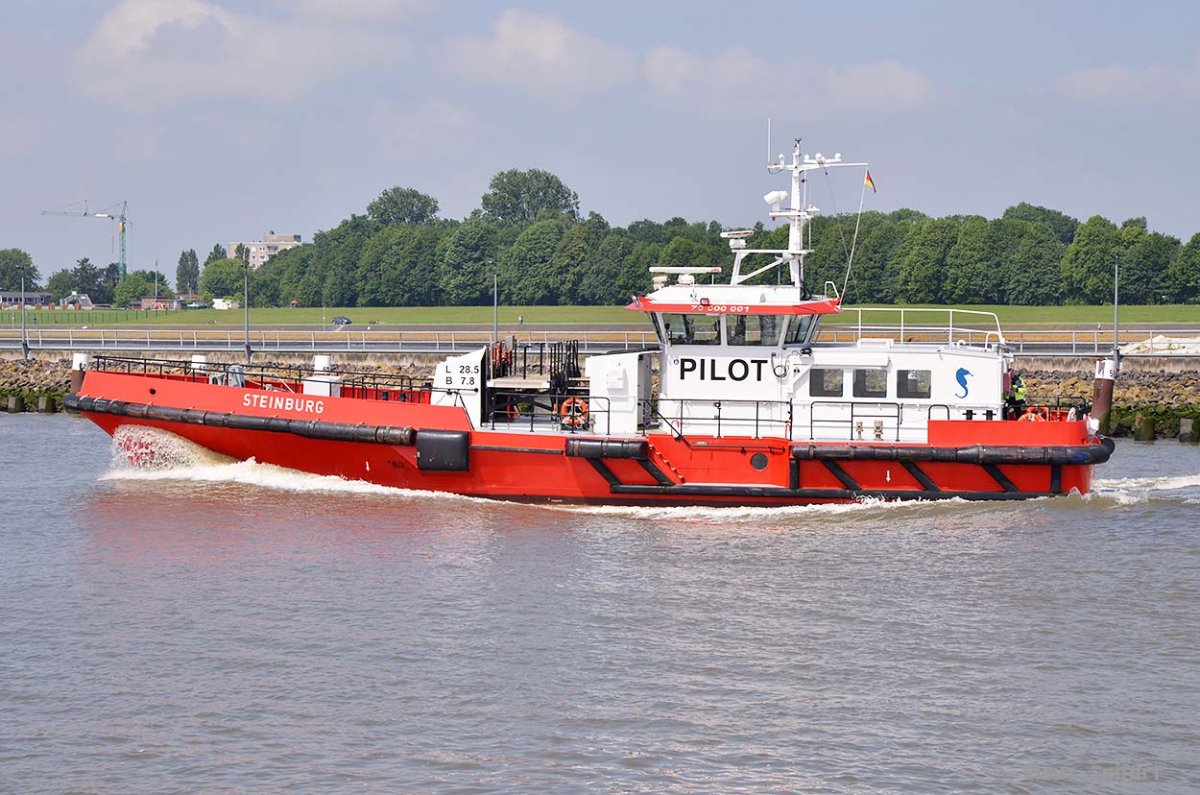 STEINBURG (211784710).jpg