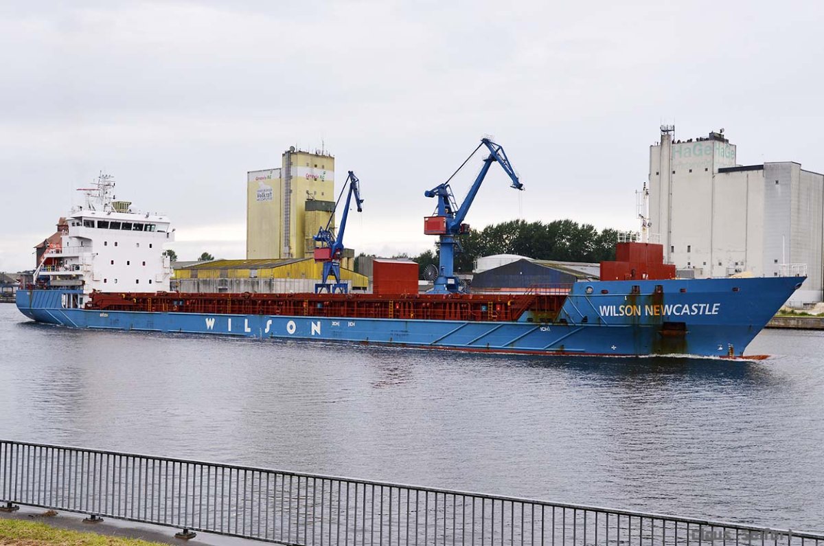 WILSON NEWCASTLE (9431006).jpg