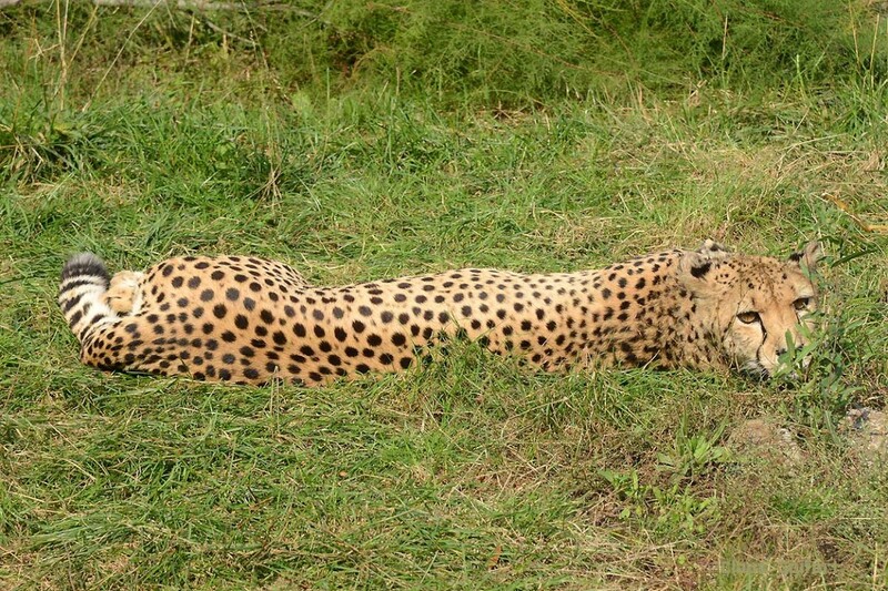 6128.jpg (412.95 KiB) 24090 mal betrachtet 6128.jpg