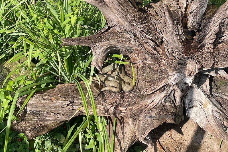 5741.jpg (428.59 KiB) 24123 mal betrachtet 5741.jpg