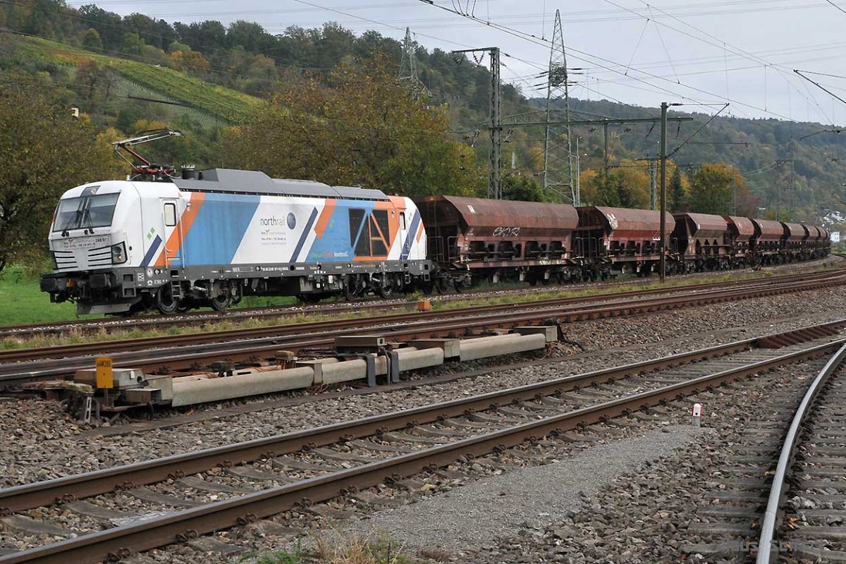 248 011-5.jpg