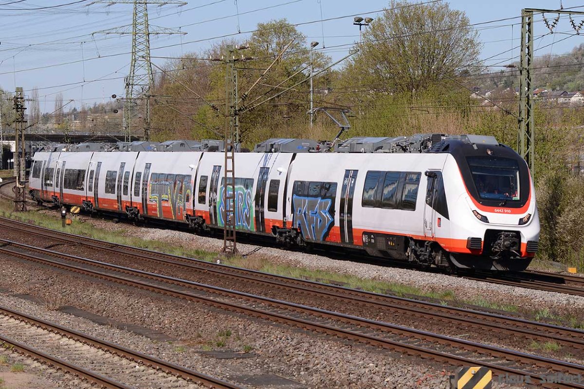 442 910.jpg