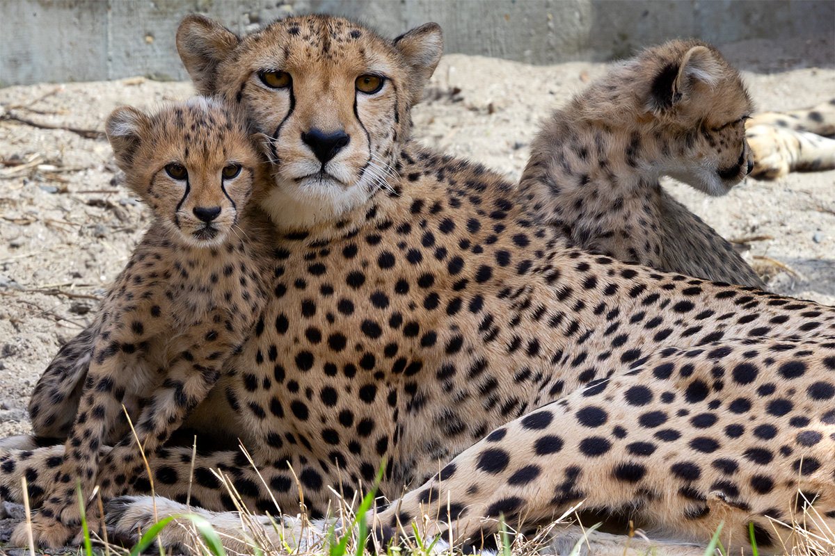 _Y8A1720 (Kopie).jpg