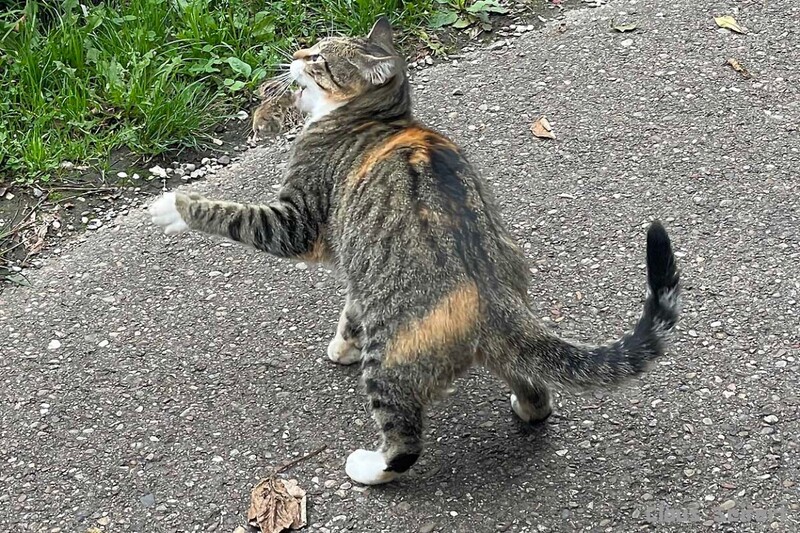 6457.jpg (436.44 KiB) 10307 mal betrachtet 6457.jpg