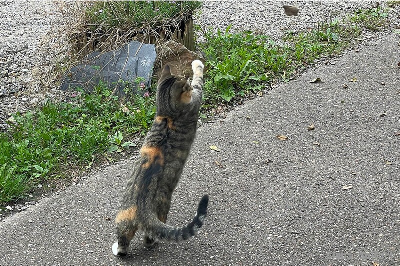 6458.jpg (491.95 KiB) 10307 mal betrachtet 6458.jpg