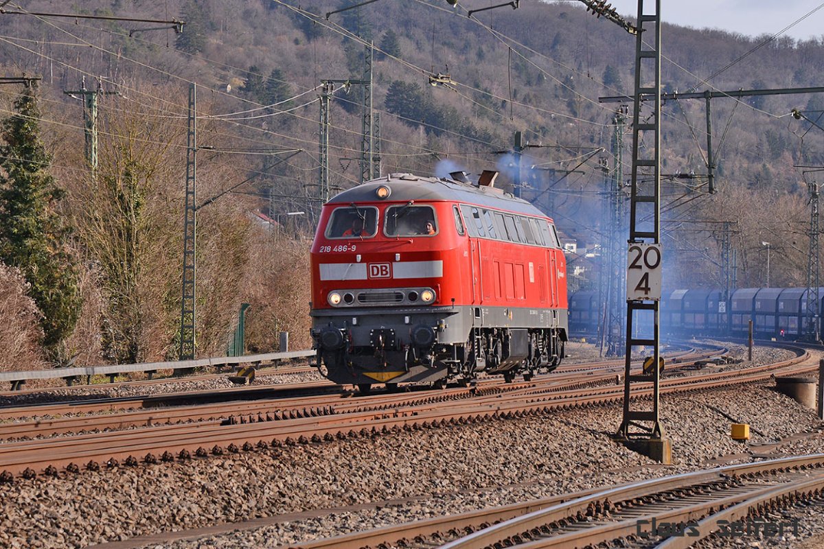 218 486-9.jpg