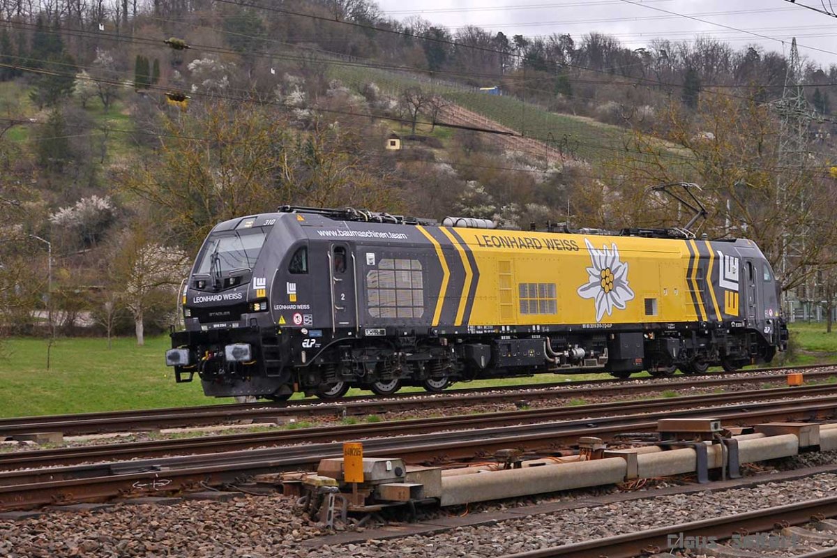2019 310-2.2.jpg