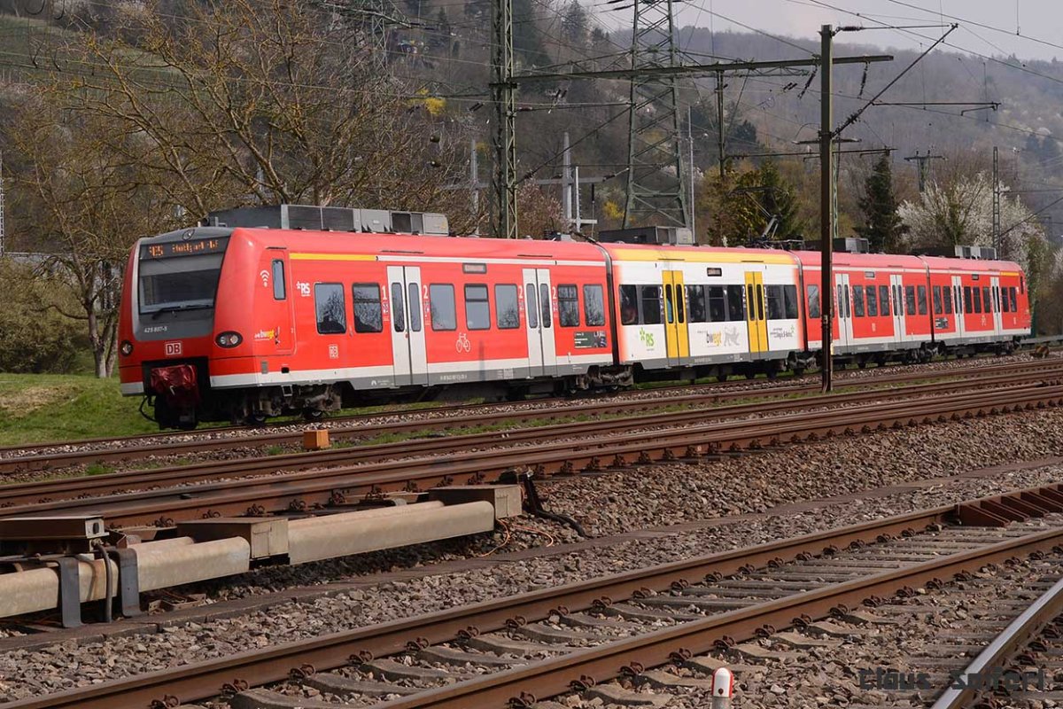 425 807.jpg