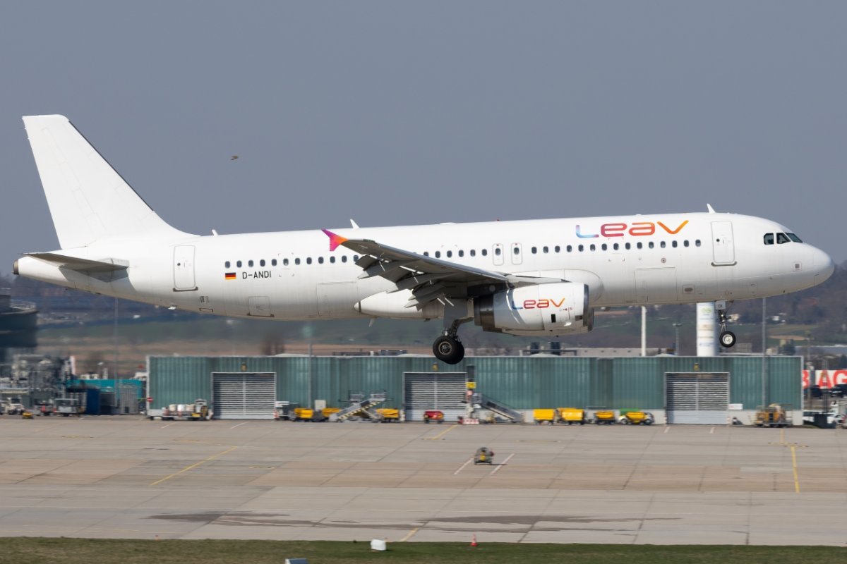 8S1A3518.jpg