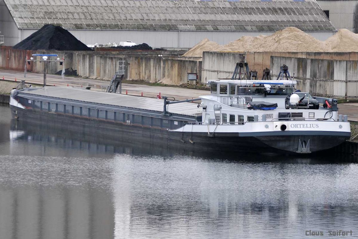 ORTELIUS (06004133).jpg