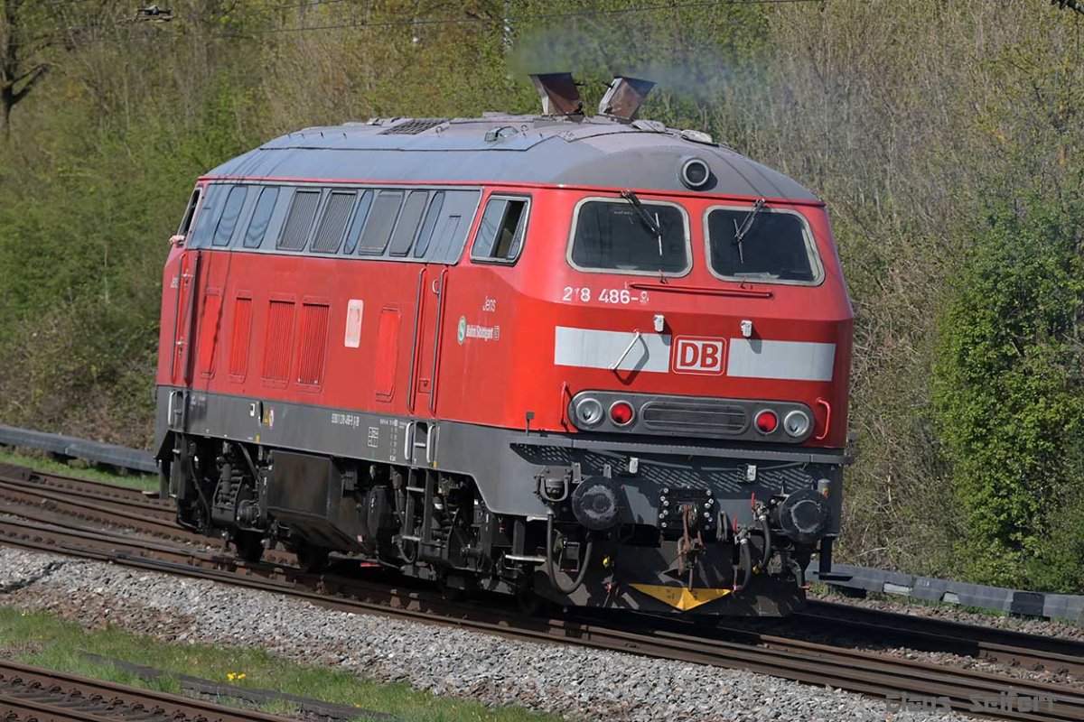 218 486-9.jpg
