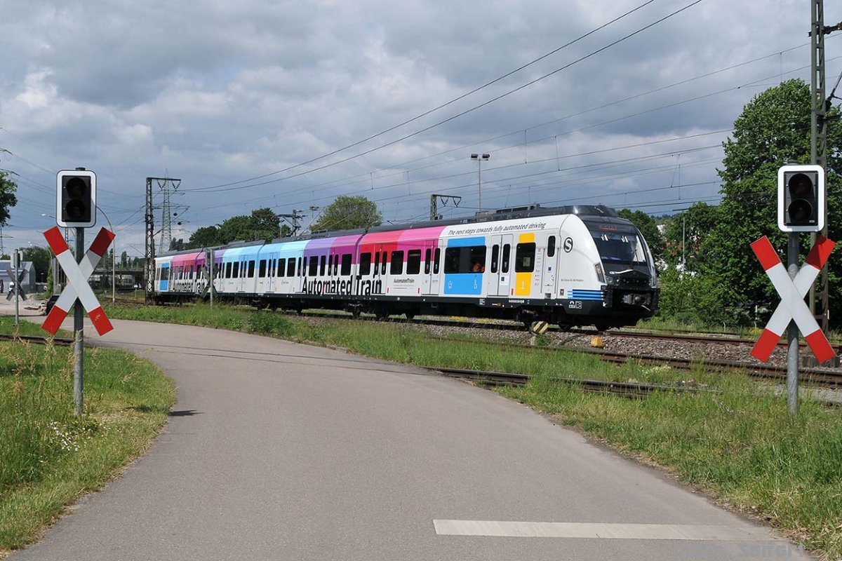 430 236.jpg