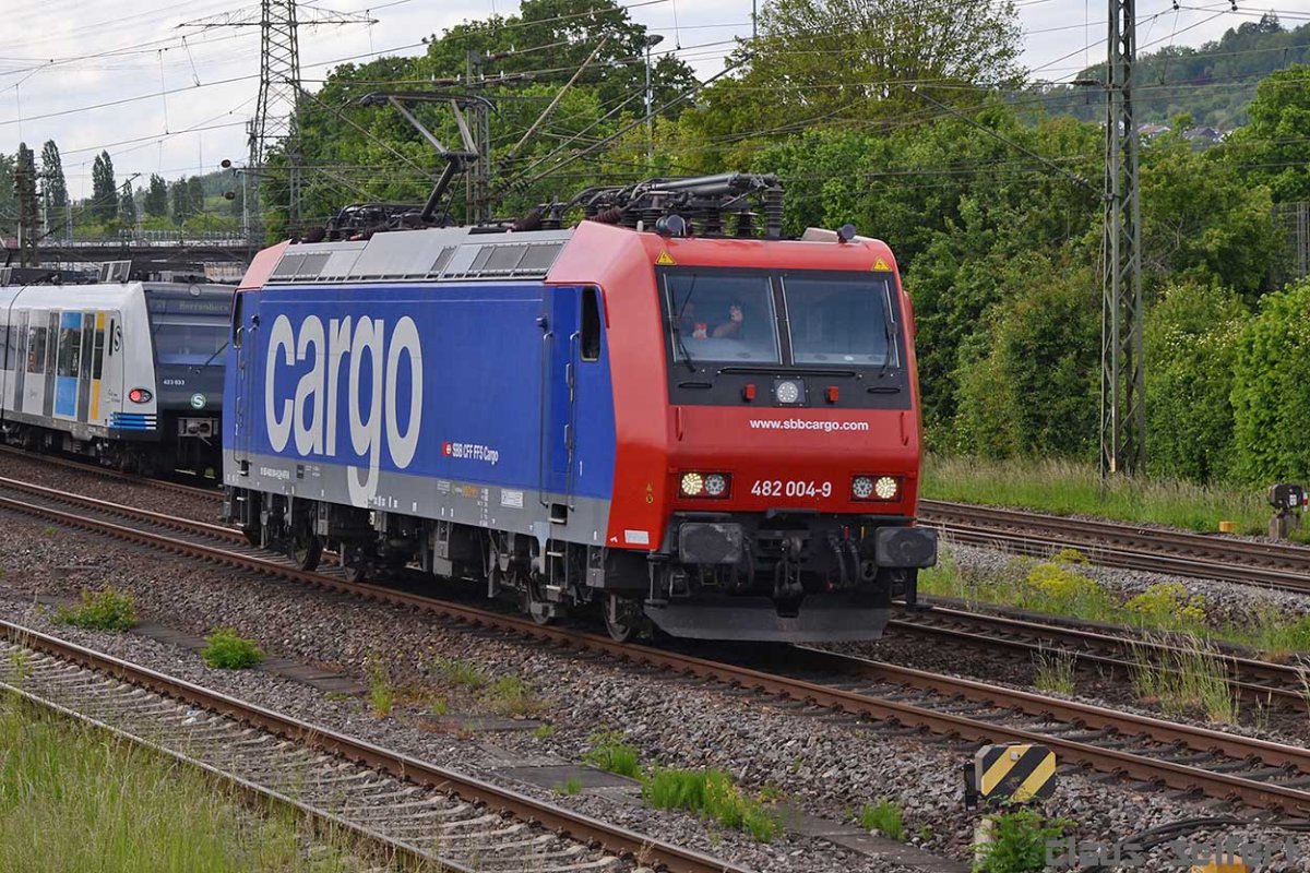 482 004-9.jpg